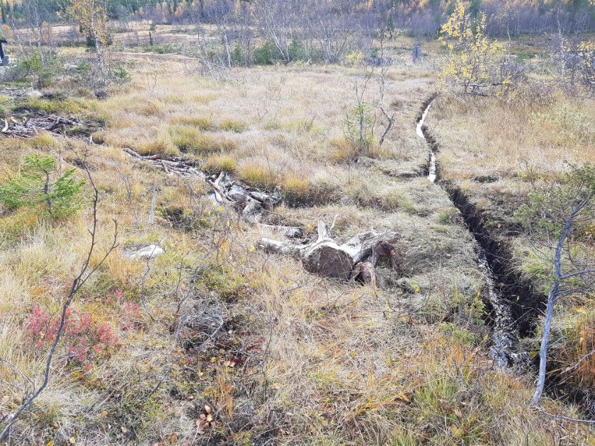 Endret bekkeløp og skadet myr etter utbygging